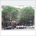 Bay Square Condos